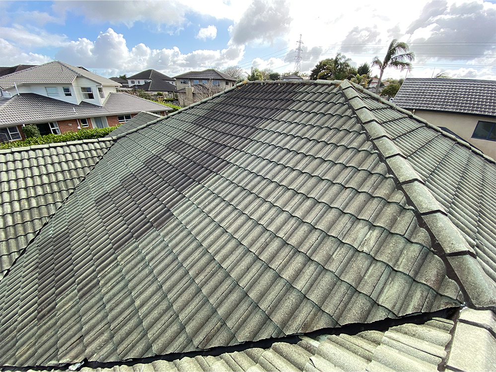 Roof Painting Master Roofing